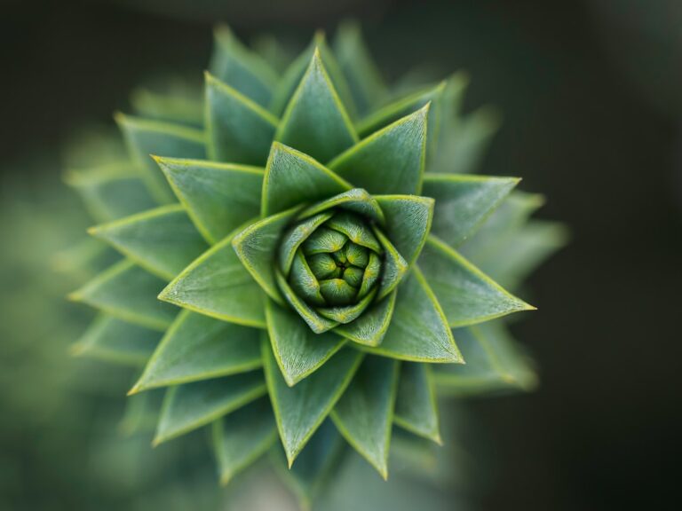 Inspiracje naturą w sztuce – motywy przyrody w twórczości artystów